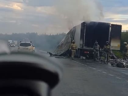 На трассе М-5 в Челябинской области загорелась фура