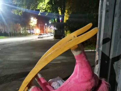 Что бы это значило