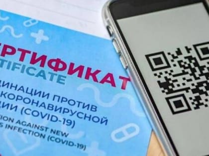 В России начали вводить QR-коды на проезд в общественном транспорте