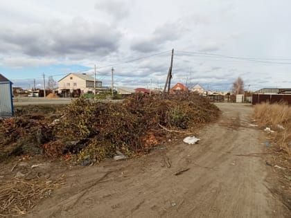 Карталинцы жалуются на свалки в городе