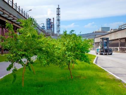 На Южном Урале объем производства в обрабатывающей промышленности вырос на 10%
