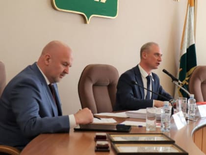 Андрей Шмидт: «Профессионал – это тот, кому доверяют»