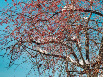 В Магнитогорске ожидается резкое потепление в конце недели