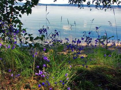 В выходные в Челябинской области - дожди, местами град и понижение температуры