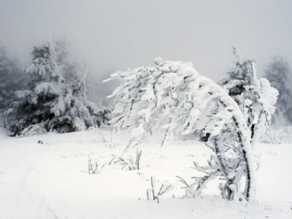 ВНИМАНИЕ. МЧС предупредило об усилении ветра в Челябинской области