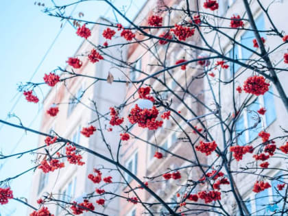 В Магнитогорске на выходных будет солнечно и холодно