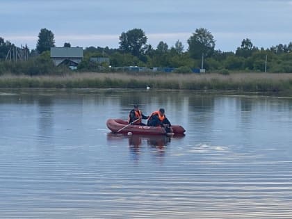 Двое мужчин утонули в Чебаркульском районе, спасая лебедей из рыболовных сетей