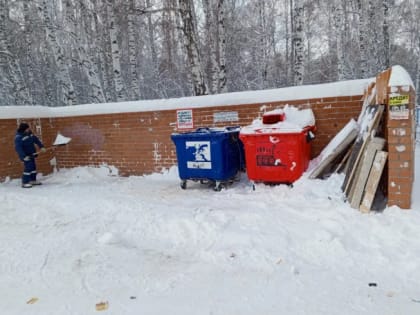 За сутки в Челябинске очистили 90 проблемных контейнерных площадок