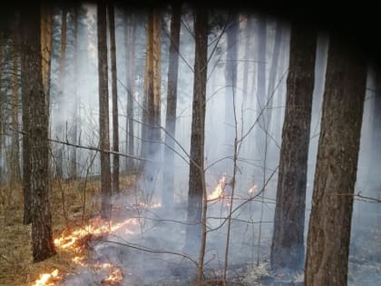 Особый противопожарный режим введён еще в трех районах Челябинской области