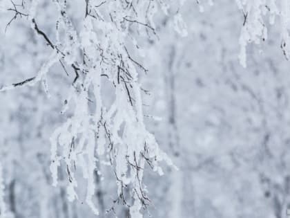 В Челябинске снова отменили занятия младшей школы