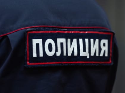 Полиция предупредила челябинцев о фейках про опасные игрушки