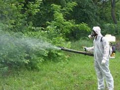 24 и 25 апреля в городских парках будет проводиться акарицидная обработка