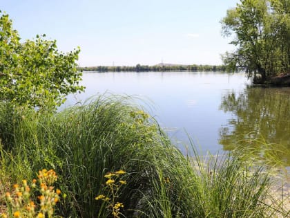 Жара весь день. Делимся прогнозом погоды на 2 июня в Магнитогорске