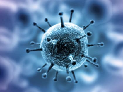 О заболеваемости на 16 января