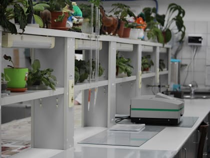 Не только безопасно, но и полезно