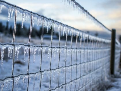Весна на Кубани наступит 25 февраля