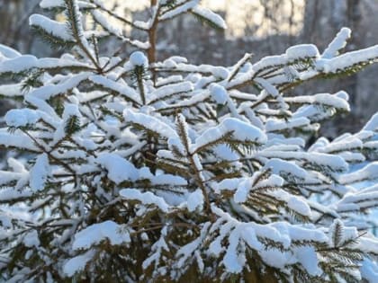 В Челябинской области ожидается снег