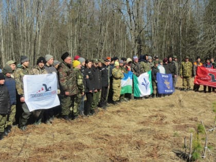 Назад в 1940-е. Златоустовские поисковики рассказали о находках новой «Вахты памяти»