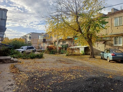 Наш дом выгнивает на глазах!