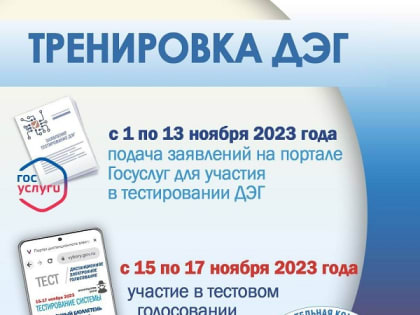 Жители Челябинской области могут принять участие в общероссийской тренировке системы дистанционного электронного голосования