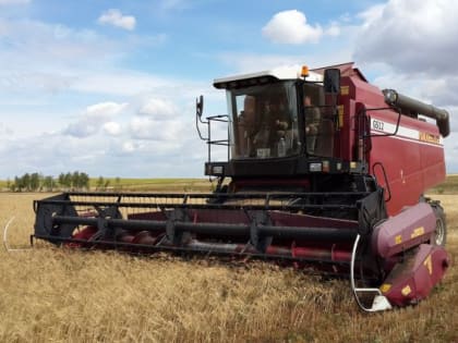 «Год выдался благоприятным для аграриев»: на Урале собрали вдвое больше зерновых культур по сравнению с прошлым годом