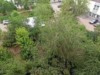 В Магнитогорске маргиналы устроили посиделки с алкоголем под окнами домов