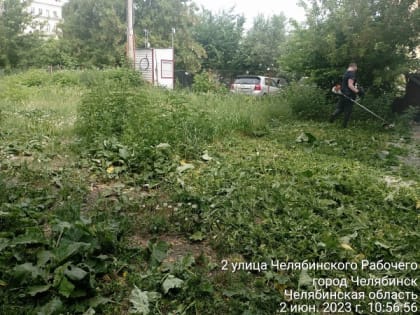 Особенности наведения порядка летом