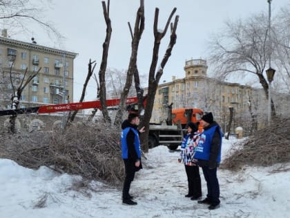 В Магнитогорске партийные активисты проверили работу служб по обрезке деревьев
