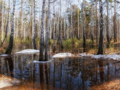 Для вашего весеннего настроения