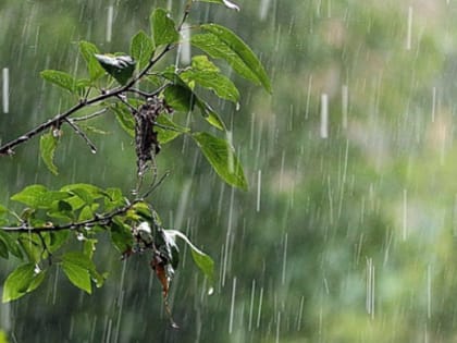 Синоптики назвали сроки возвращения тепла на Урал