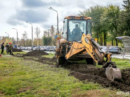 Одни сажают, другие ломают