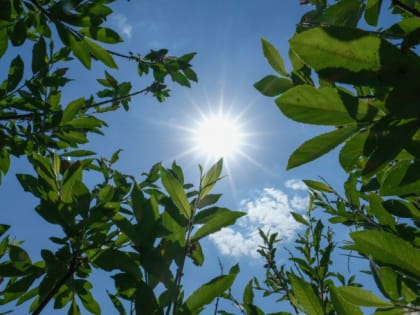 В субботу на Южном Урале ожидается 33-градусная жара без осадков