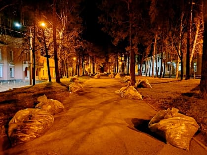 Что бы это значило