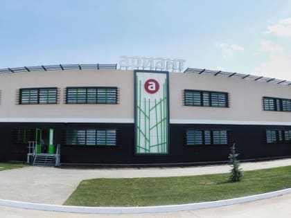 Письмо Алексею Дюмину о разрушении бизнеса