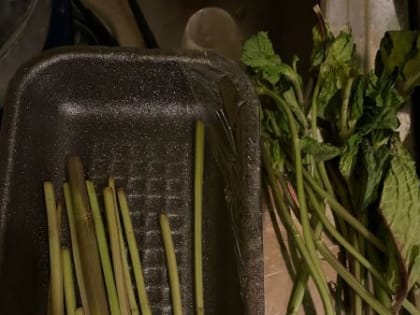 Читатели пишут №1601