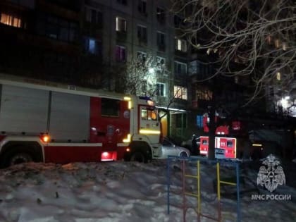 В Челябинске в пожаре погибли женщина и 12-летняя девочка