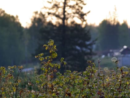 Анонсы событий и мероприятий на 20 июля