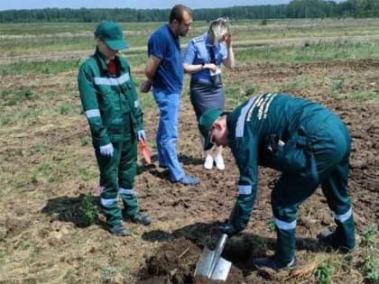 Уралбройлер опять расплодил мух и вонь в Аргаяшском районе