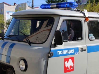 У жительницы Еманжелинска неизвестные похитили оставленный без присмотра сотовый телефон