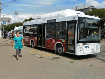 Автобусы вышли в город