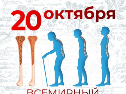 Профилактика остеопороза поможет снизить риск его развития