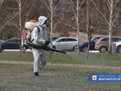 В Магнитогорске в ближайшие дни начнут обрабатывать кладбища от клещей