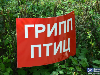 Птичий грипп не пройдет!