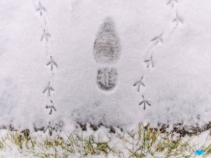 Под конец рабочей недели в городе металлургов ожидается резкое потепление