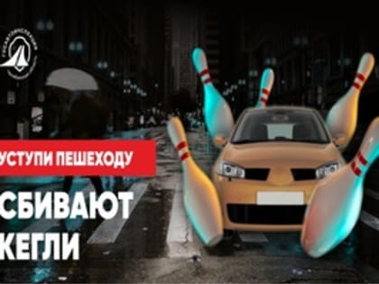 Отдел госавтоинспекции Ашинского муниципального района проводит мероприятия по профилактике наездов на пешеходов