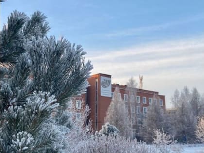 В связи с морозами челябинских студентов переводят на дистант