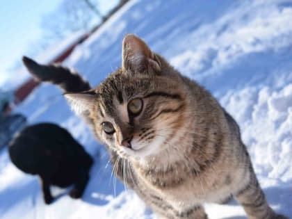 Теплая погода сохраняется в Миассе