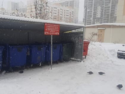 На уборку проблемных мусорных площадок в Челябинске вышли почти 80 единиц техники