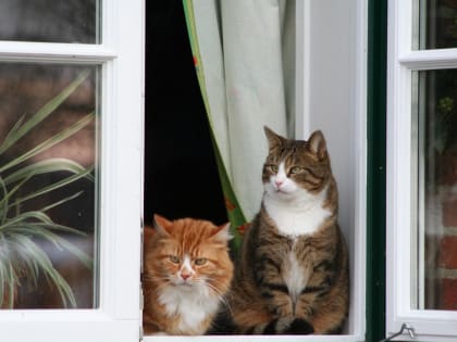 Теплая погода возвращается в Челябинскую область