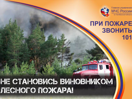 С 12 апреля на всей территории Челябинской области установлен особый противопожарный режим
